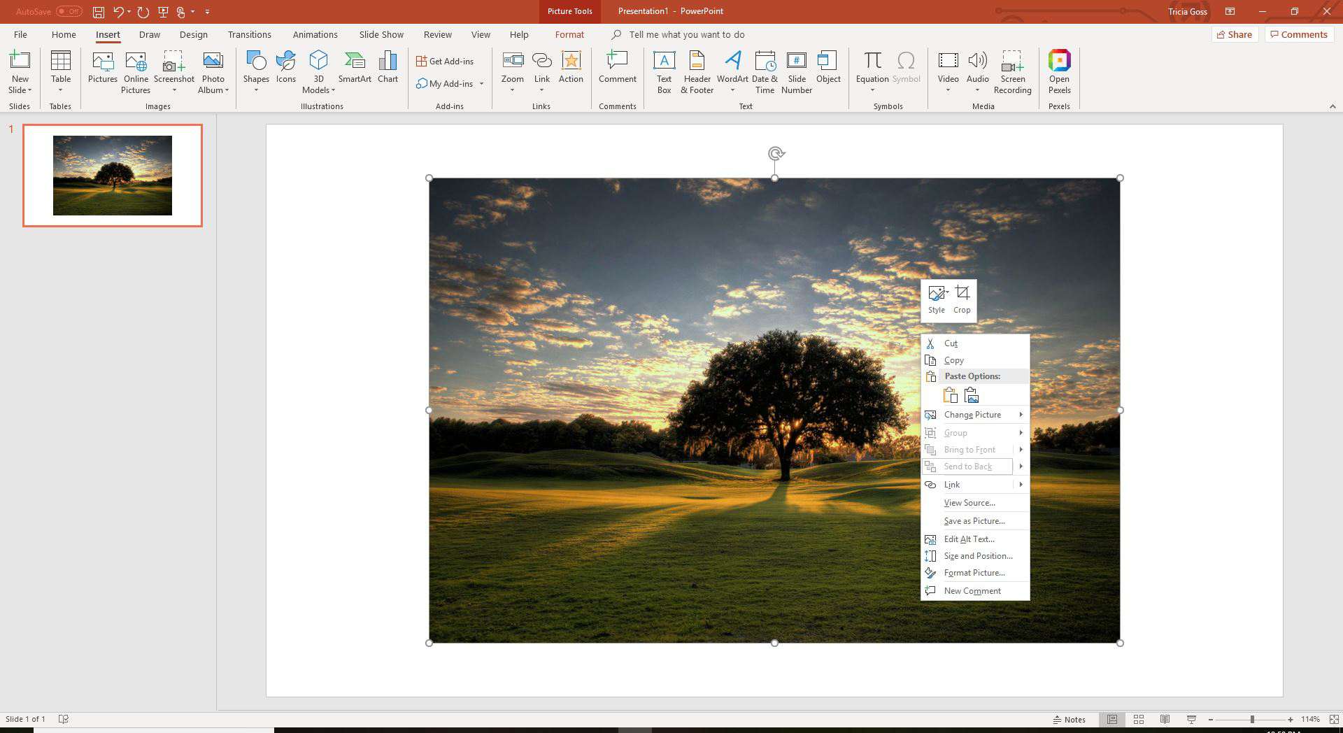 microsoft powerpoint 11 mac alt text for graphics